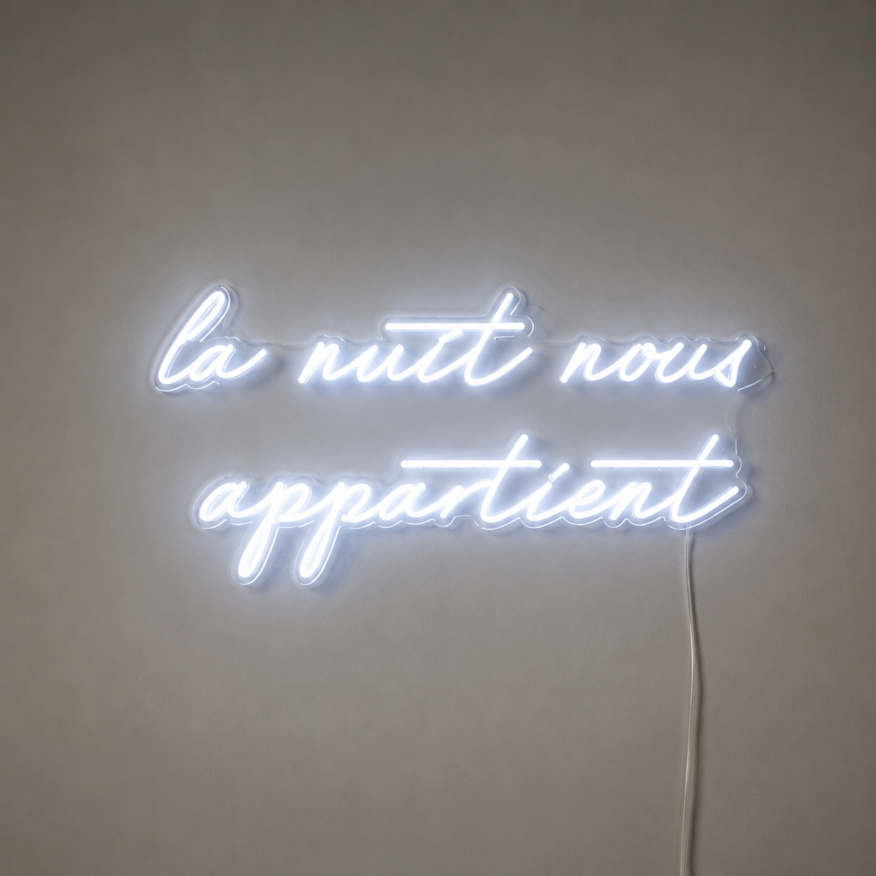 Nuis Nous Appartient Wall Decor LED Neon Sign main product image