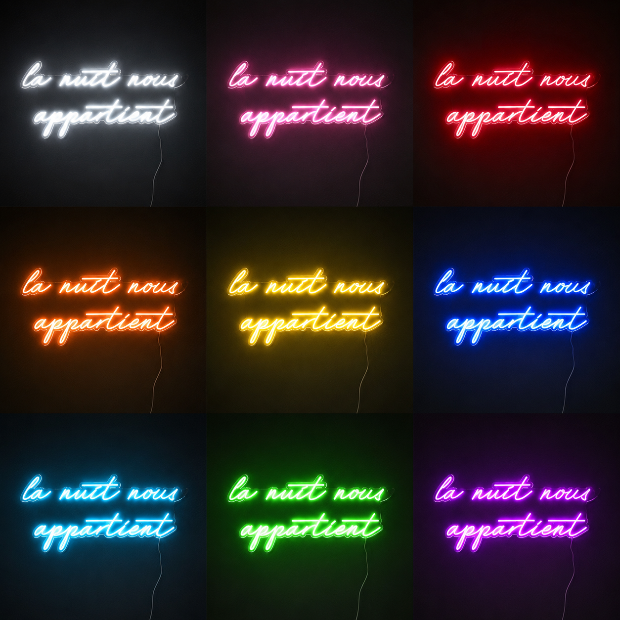 Nuis Nous Appartient Wall Decor LED Neon Sign color grid
