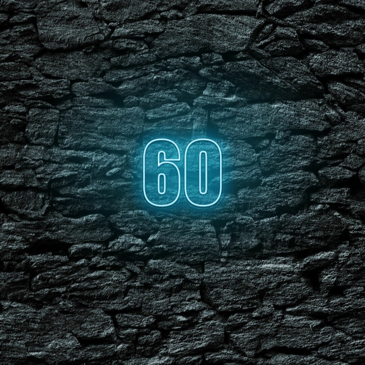 Number Sixty Led Neon Sign | Shineneon