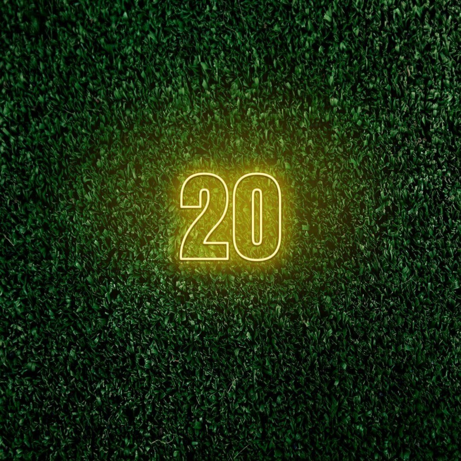 Number Twenty Led Sign | Shineneon