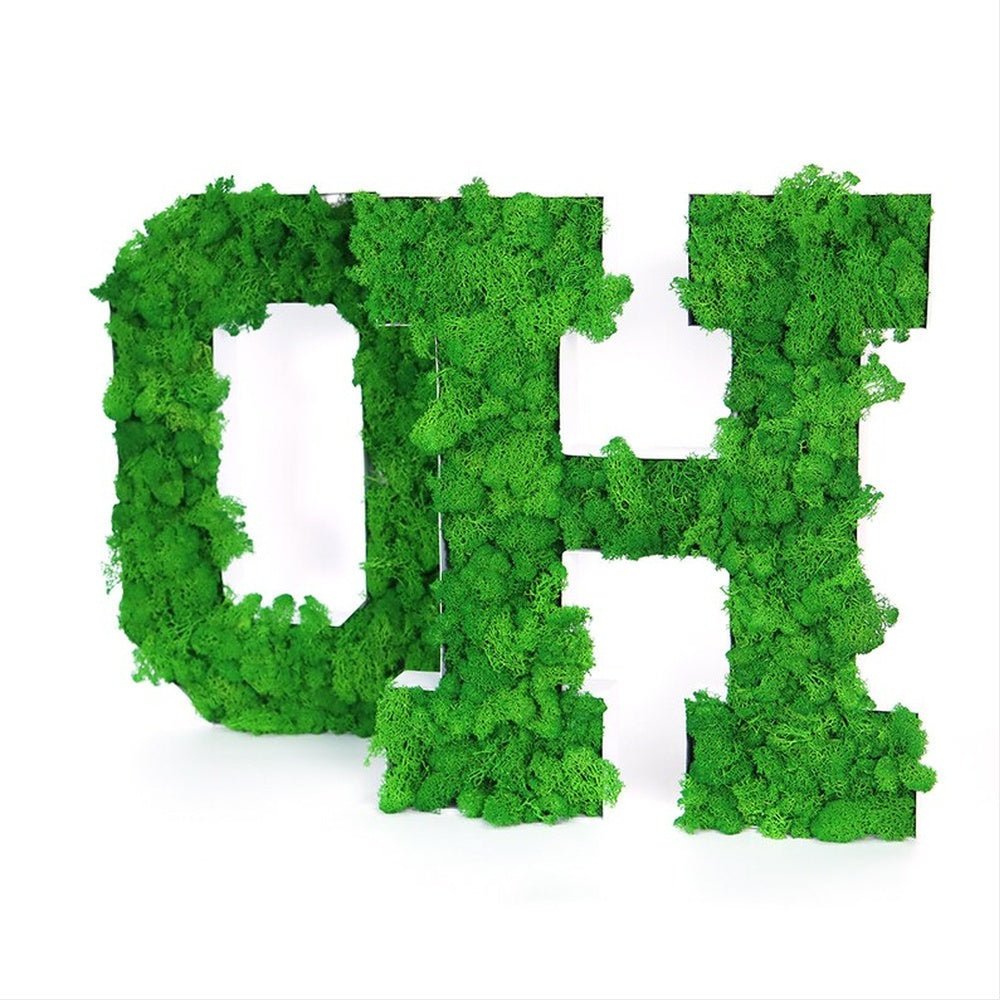 Oht 3D Moss Letter Sign - Shineneon