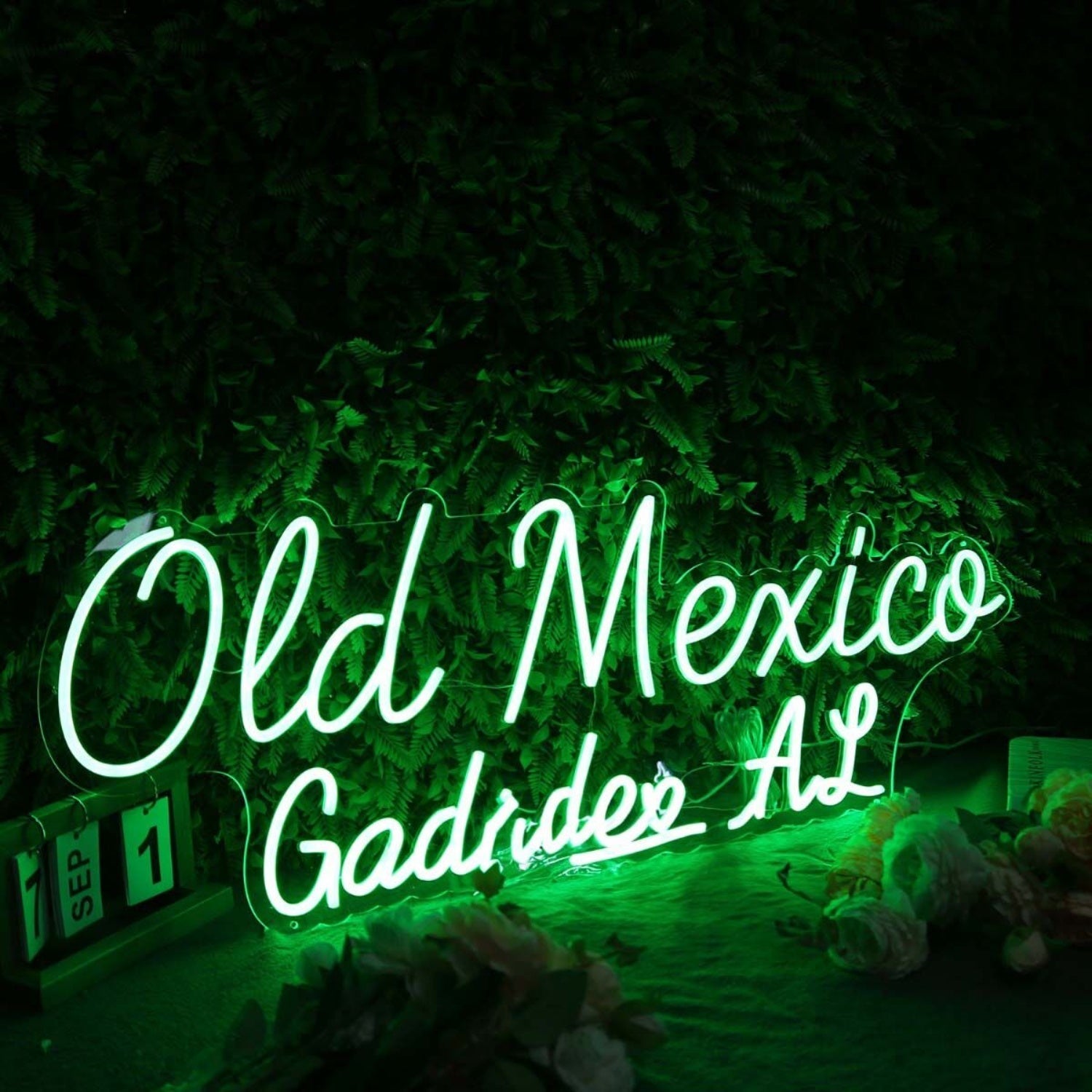 Old Mexico Gadsden Al Green Led Neon Sign - Shineneon