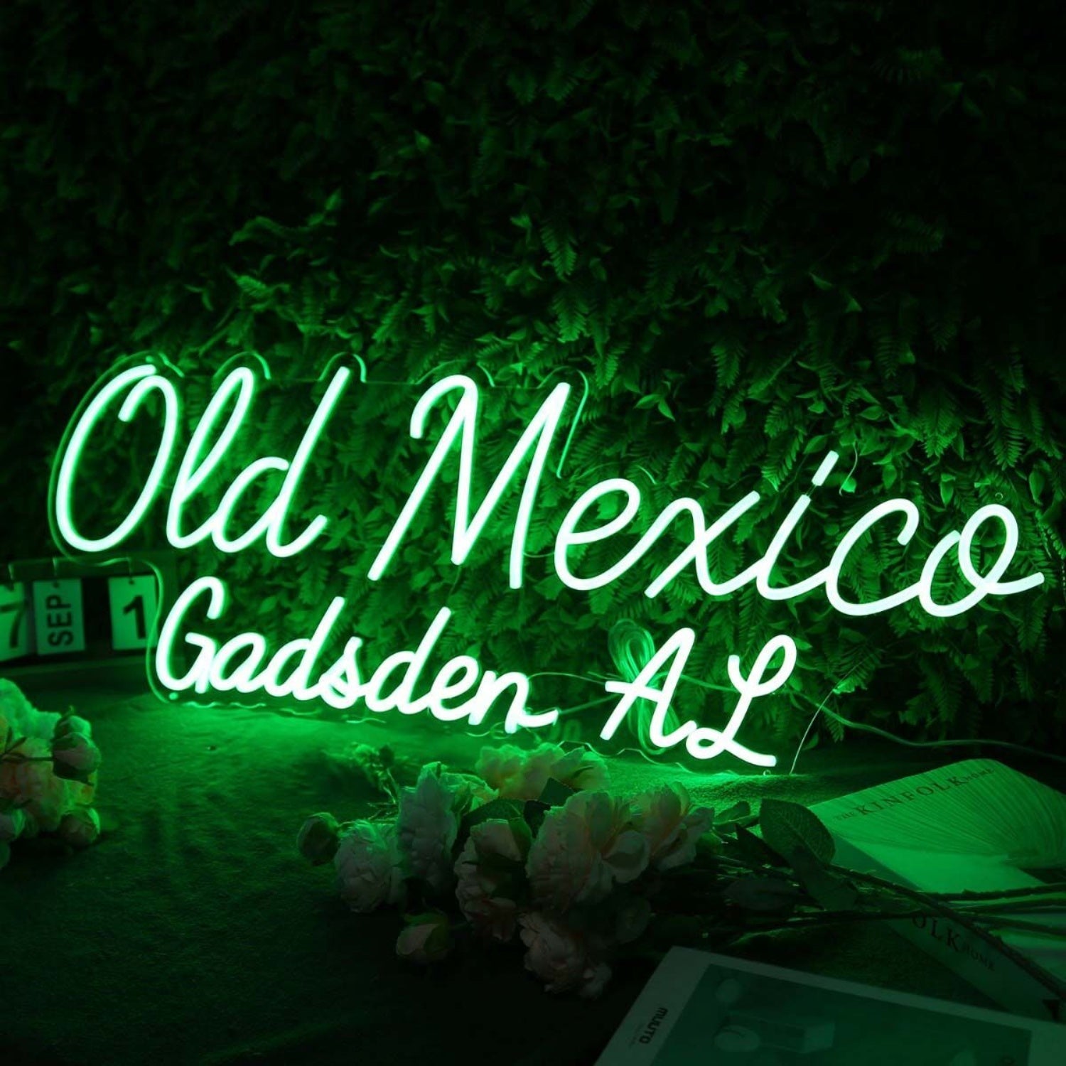 Old Mexico Gadsden Al Green Led Neon Sign - Shineneon