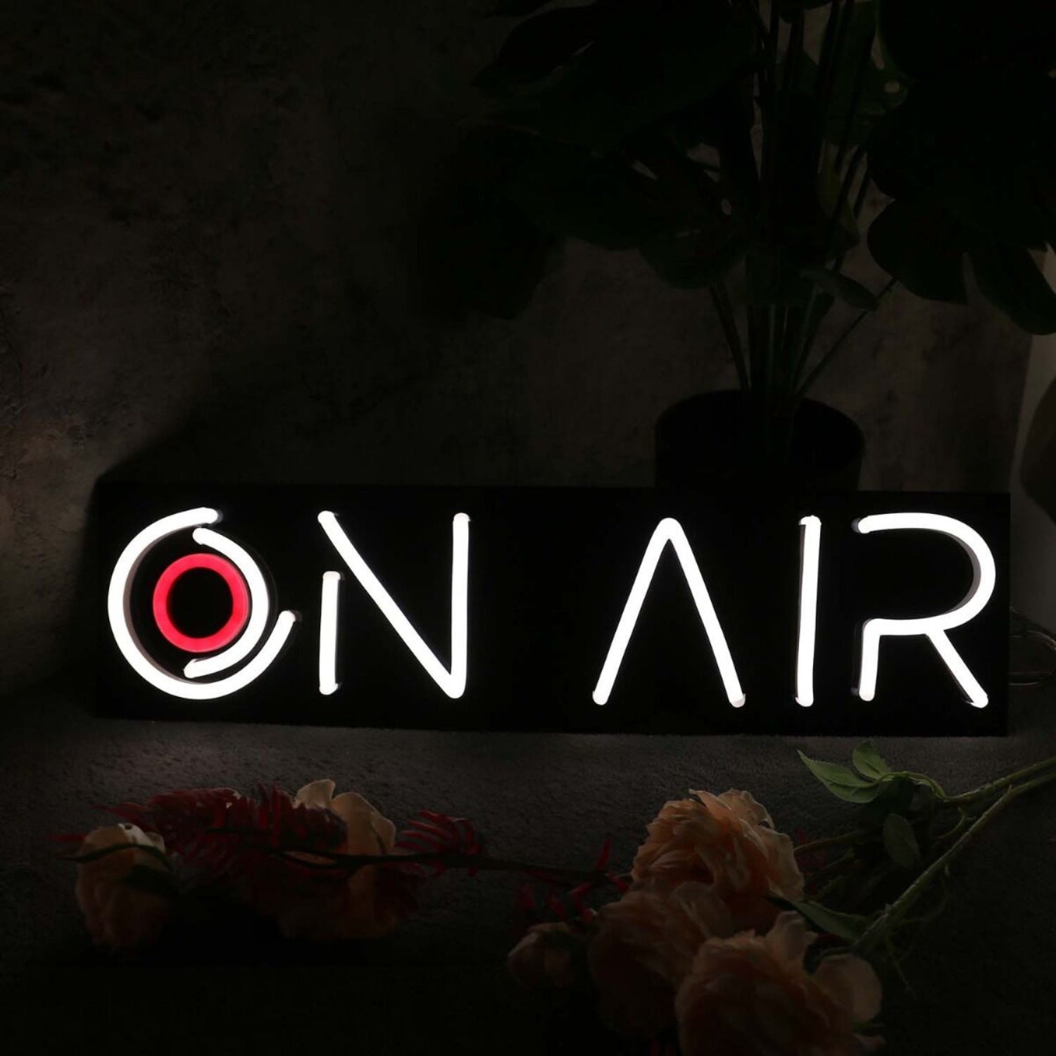 On Air Aesthetic Led Neon Sign - Shineneon