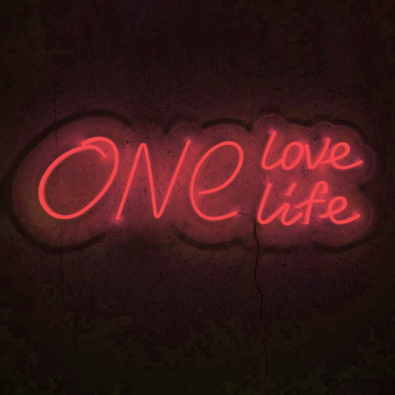One Love One Life Wedding Neon Sign | Shineneon