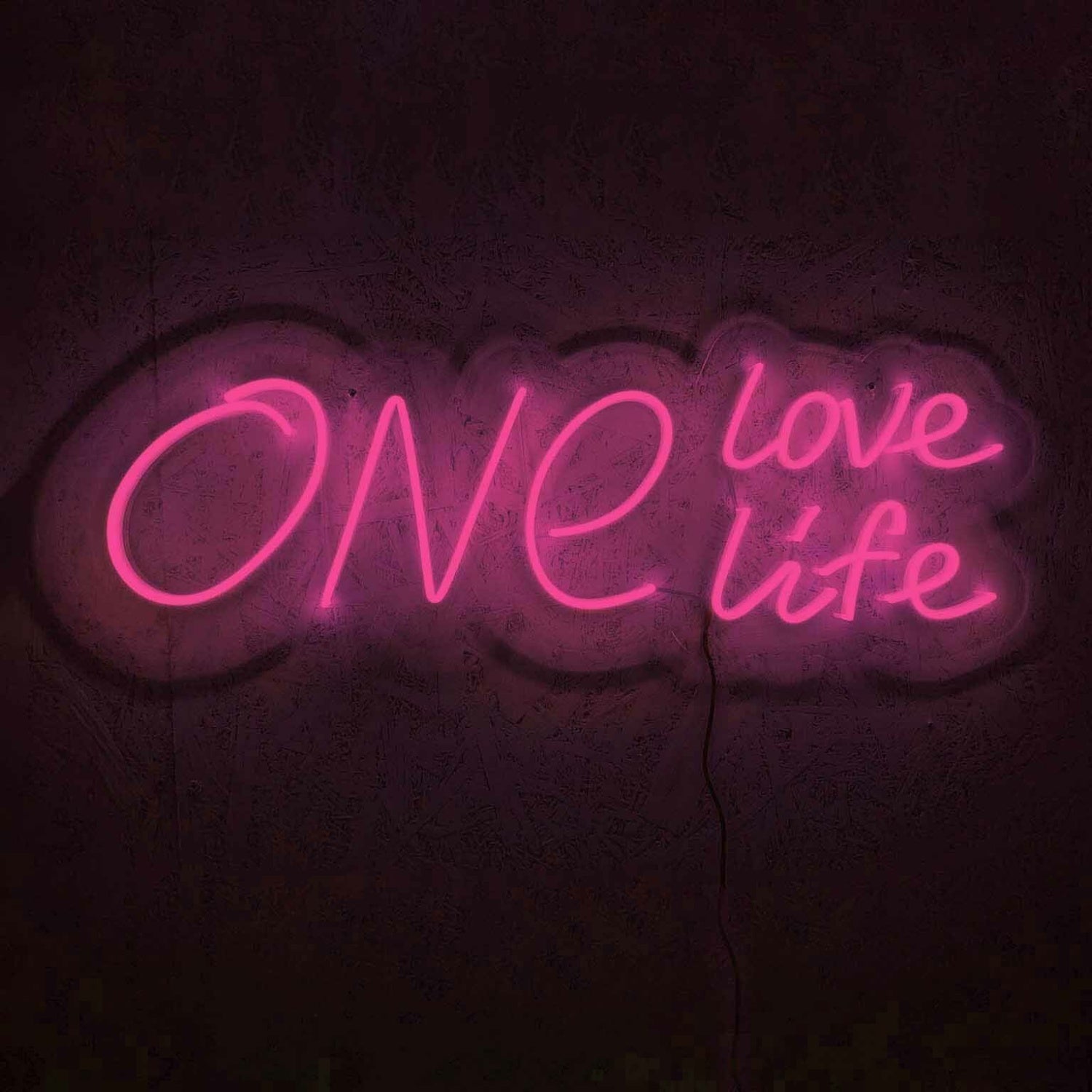 One Love One Life Wedding Neon Sign | Shineneon
