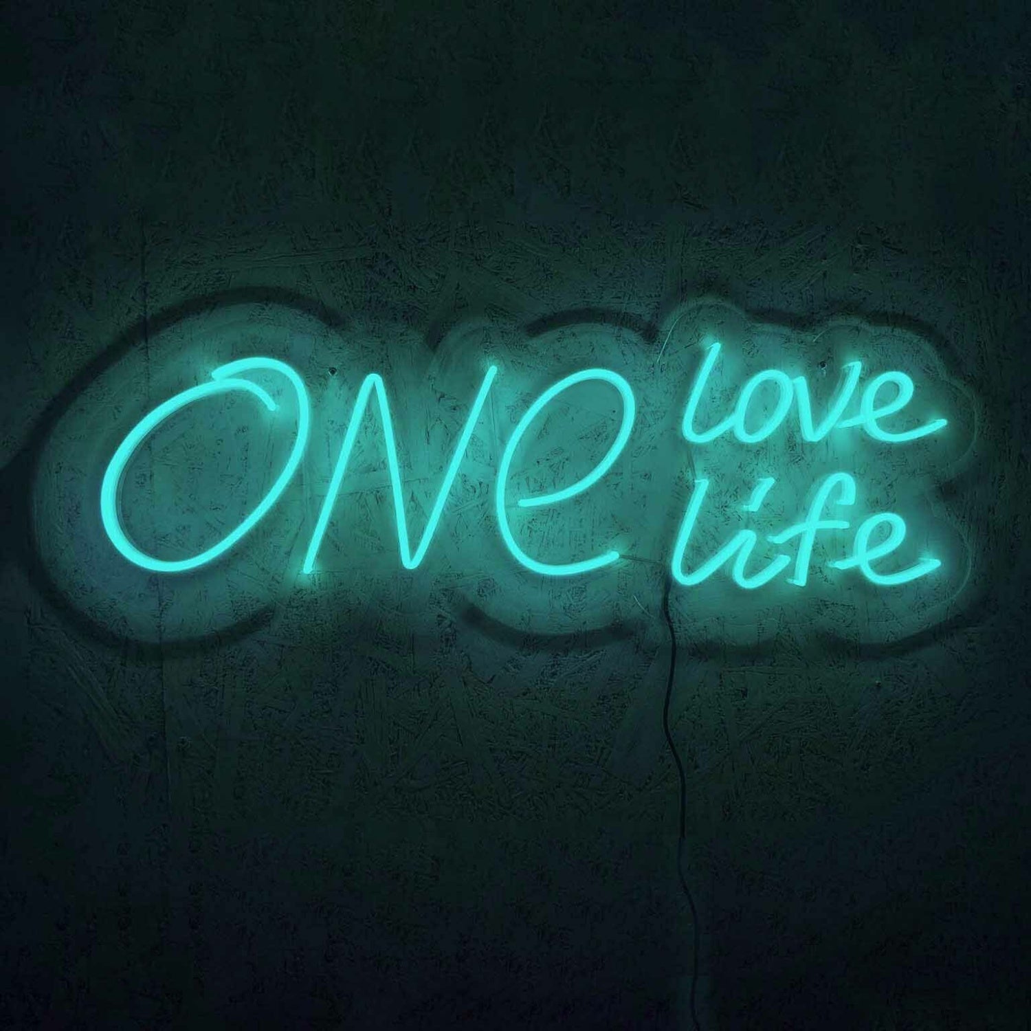 One Love One Life Wedding Neon Sign | Shineneon