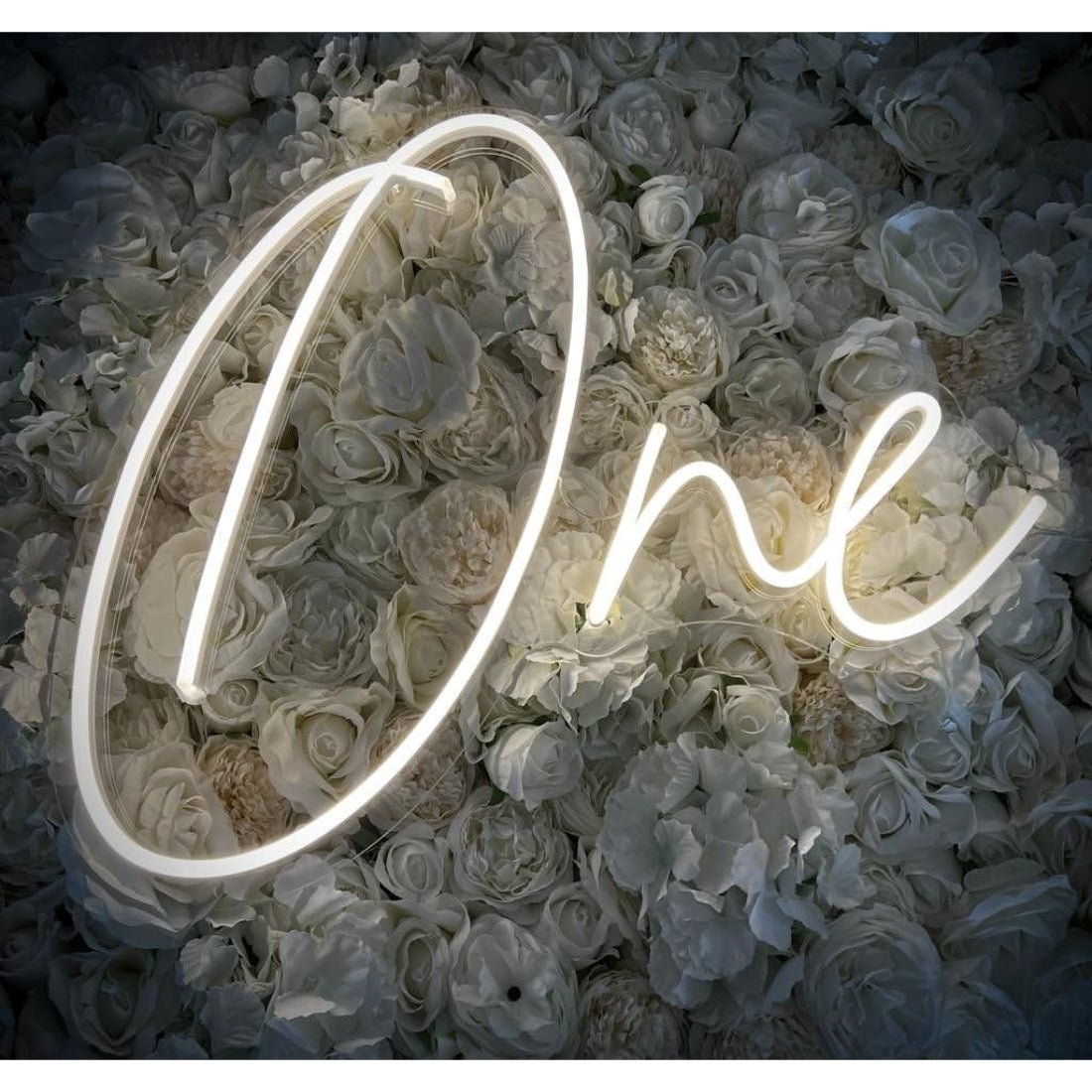 One Neon Signs Neon Lights Led Neon Signs - Shineneon