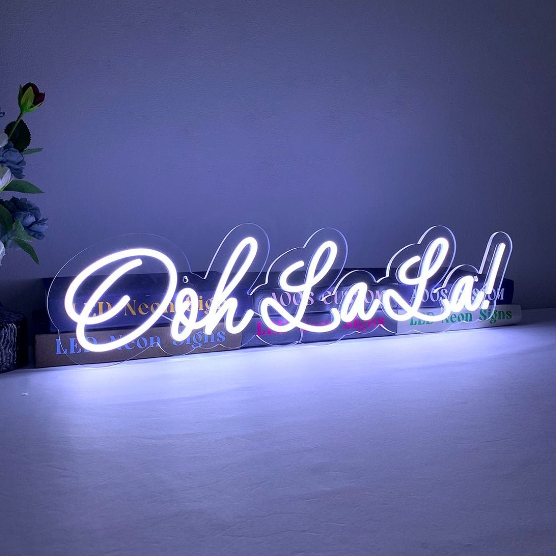 Ooh La La Led Sign Business Neon Signs - Shineneon