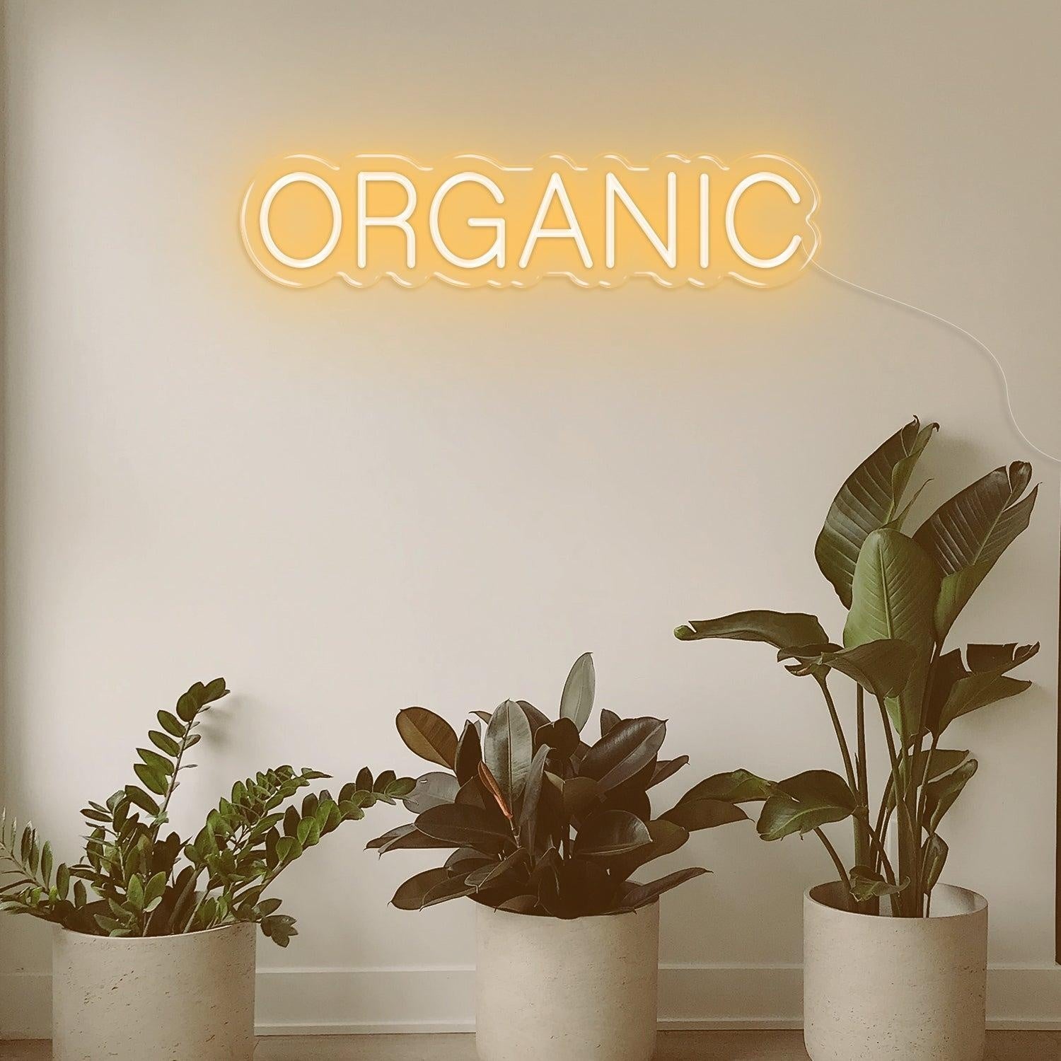 Organic Bright Pink White Rounded Led Neon Sign For Health Shops Home Decor | Shineneon