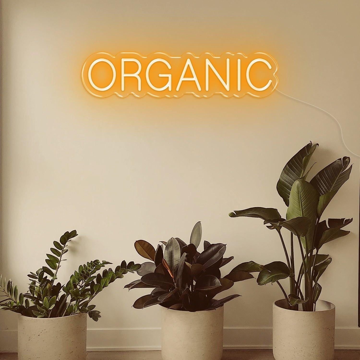 Organic Bright Pink White Rounded Led Neon Sign For Health Shops Home Decor | Shineneon
