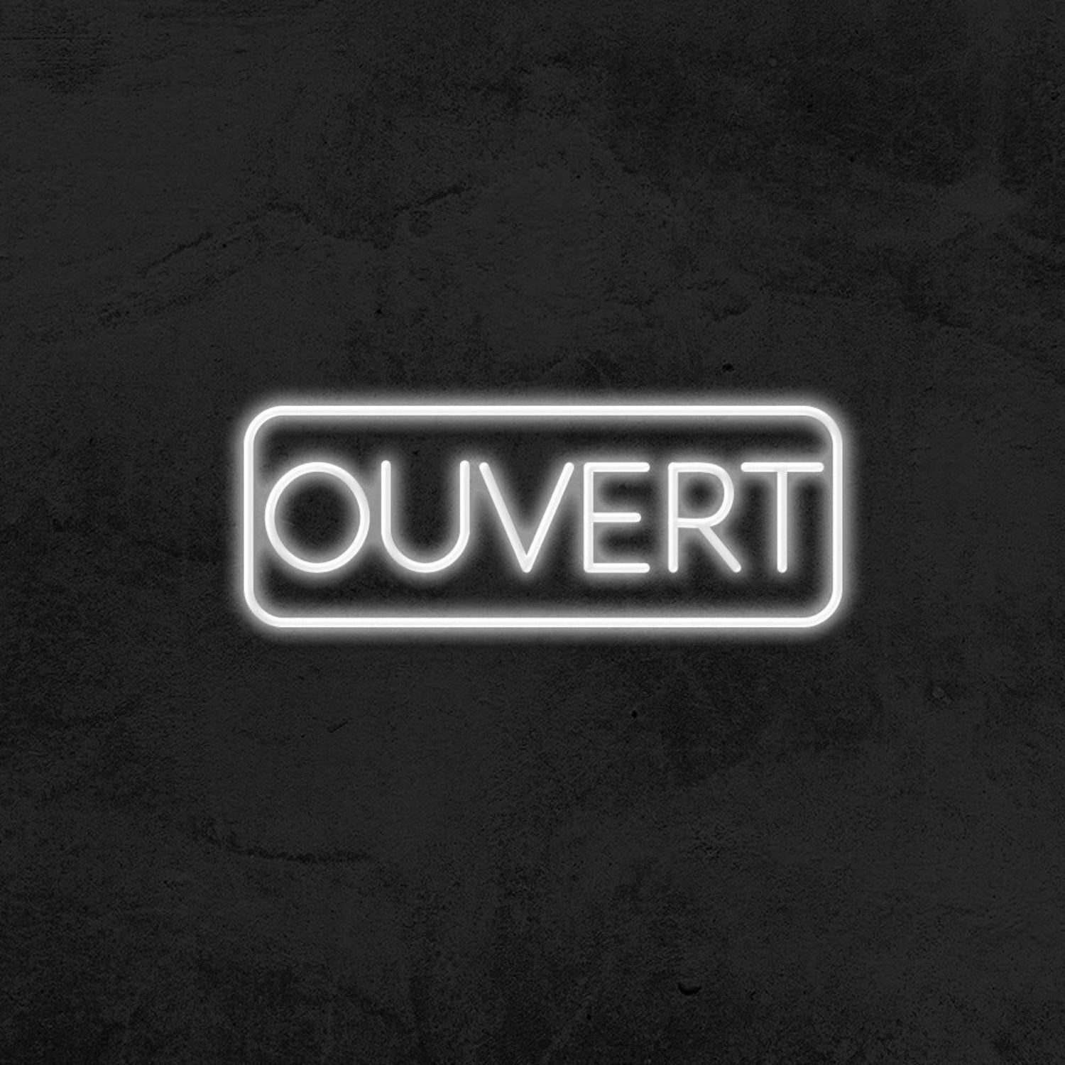 Ouvert Led Neon Sign For French-Speaking Businesses | Shineneon