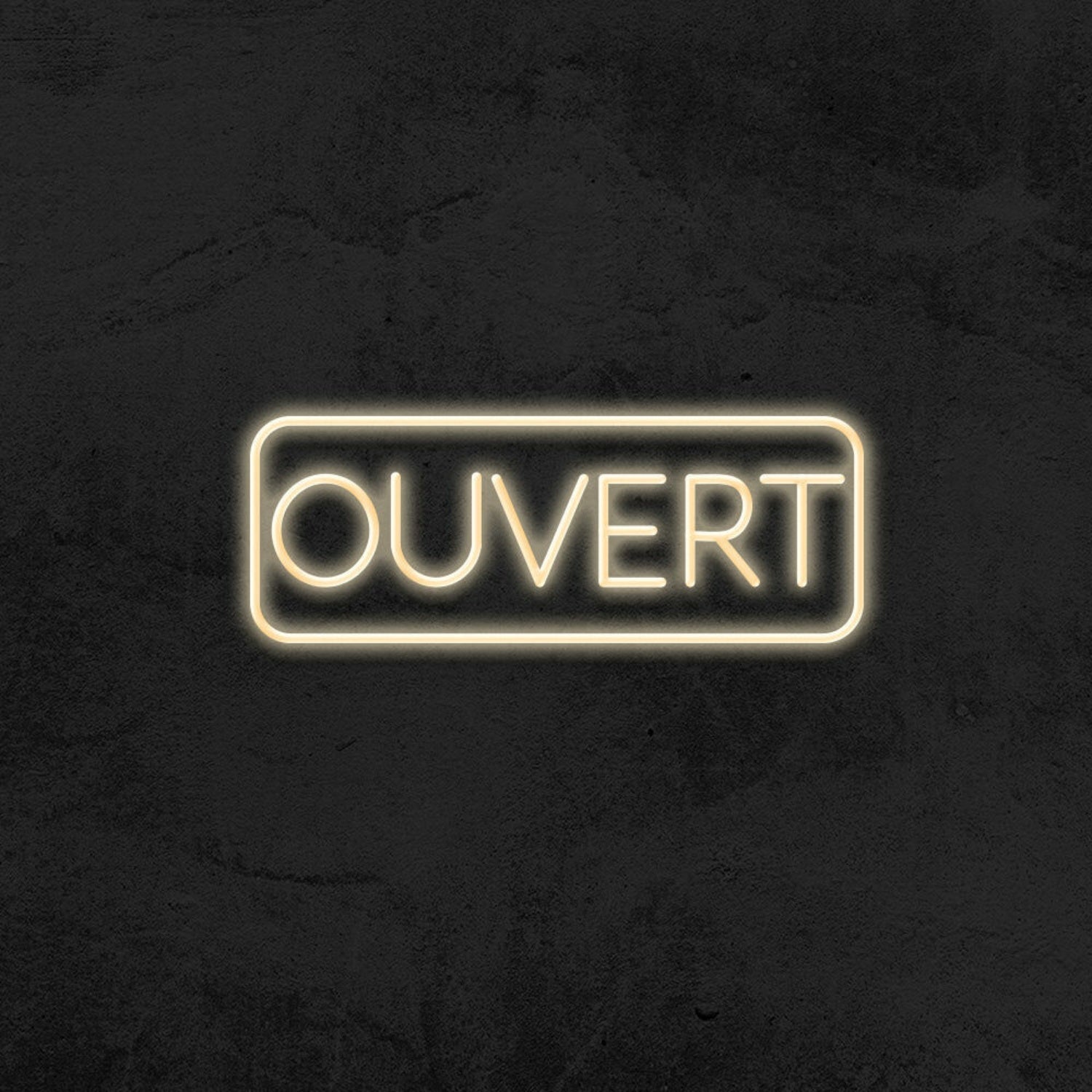 Ouvert Led Neon Sign For French-Speaking Businesses | Shineneon