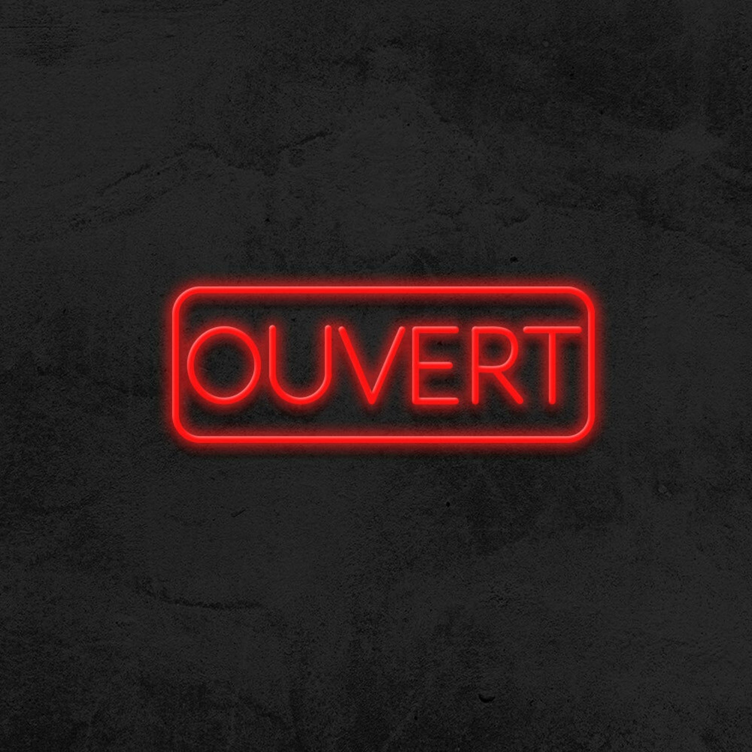 Ouvert Led Neon Sign For French-Speaking Businesses | Shineneon