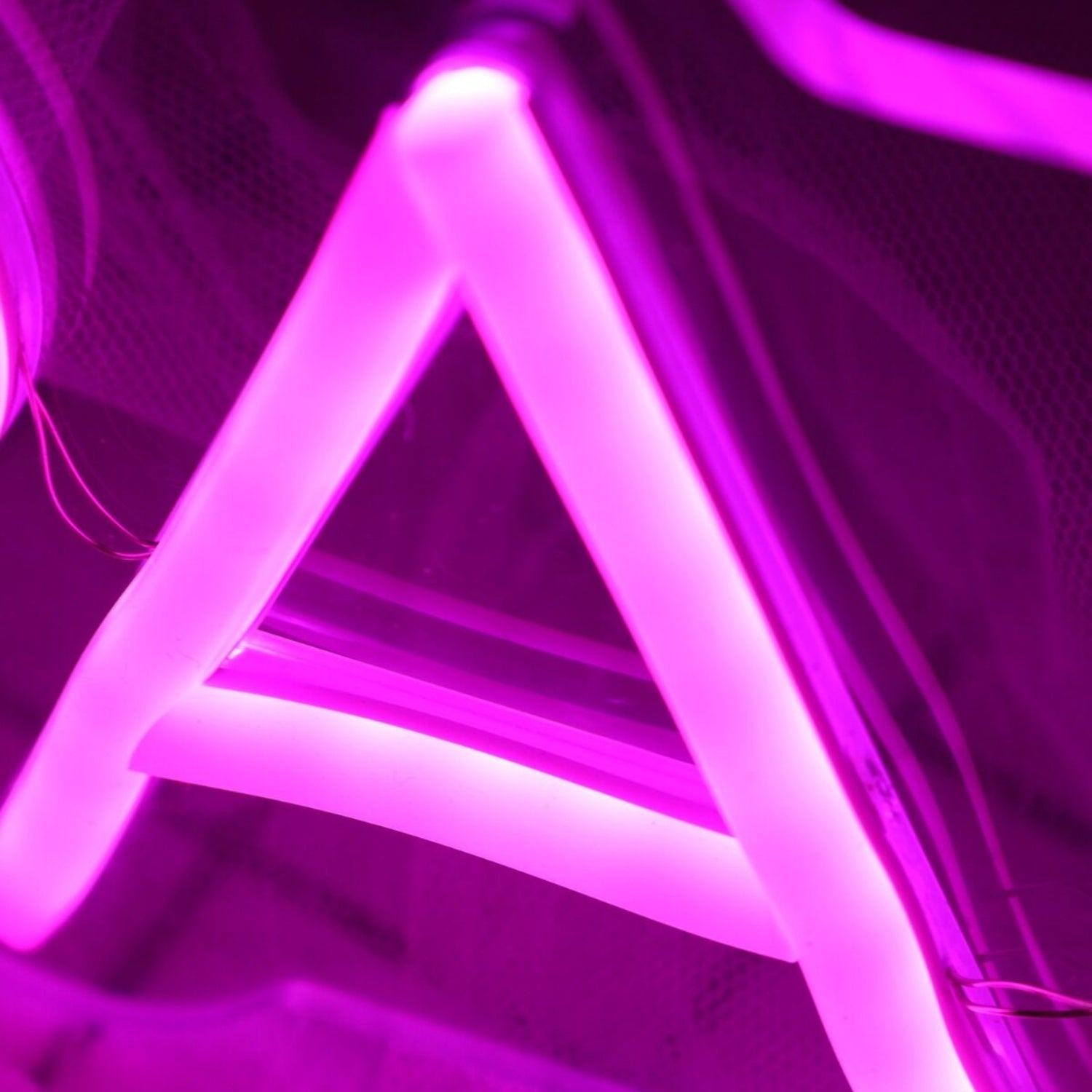 Palm Bich Purple Led Neon Sign - Shineneon