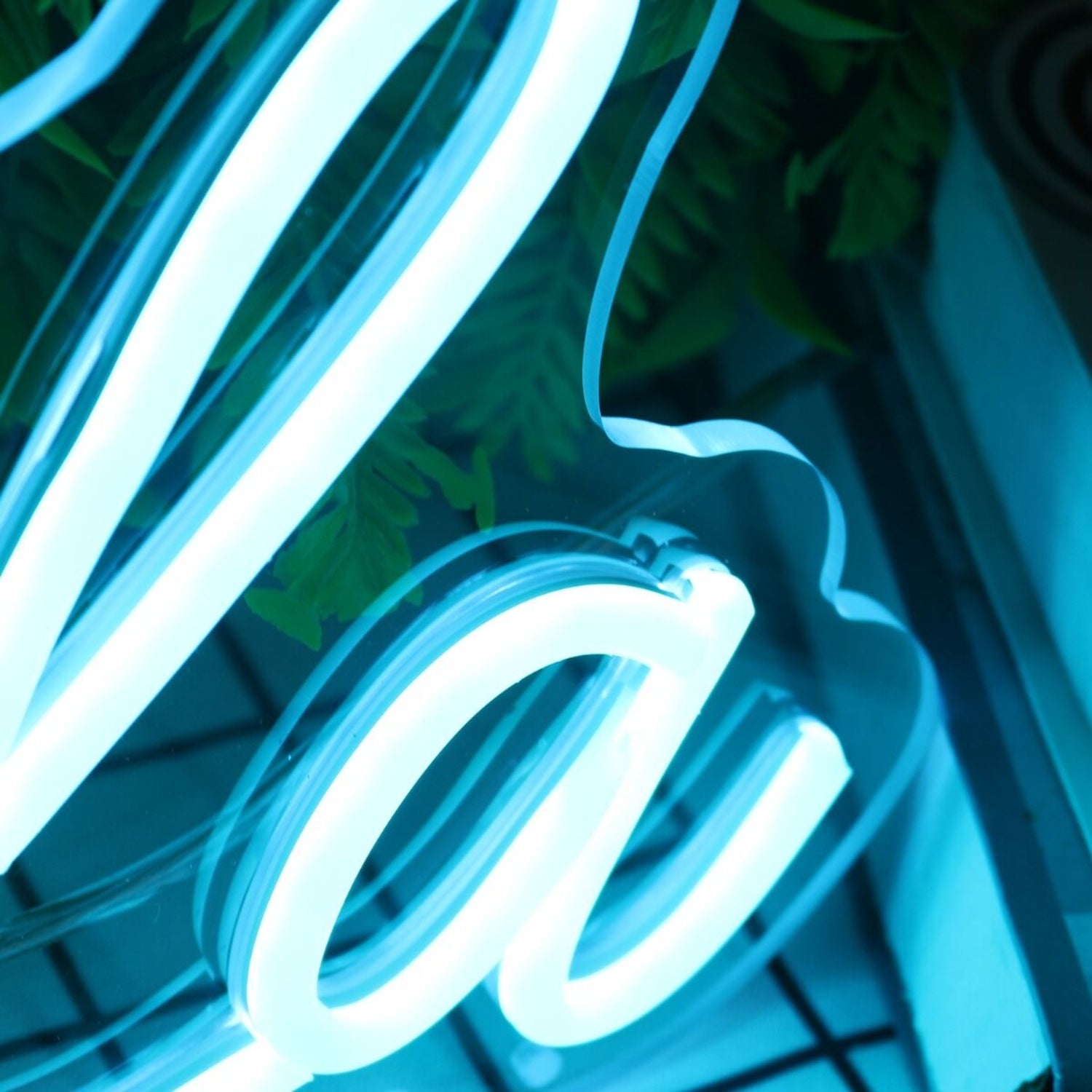 Paola Blue Blue Led Neon Sign - Shineneon