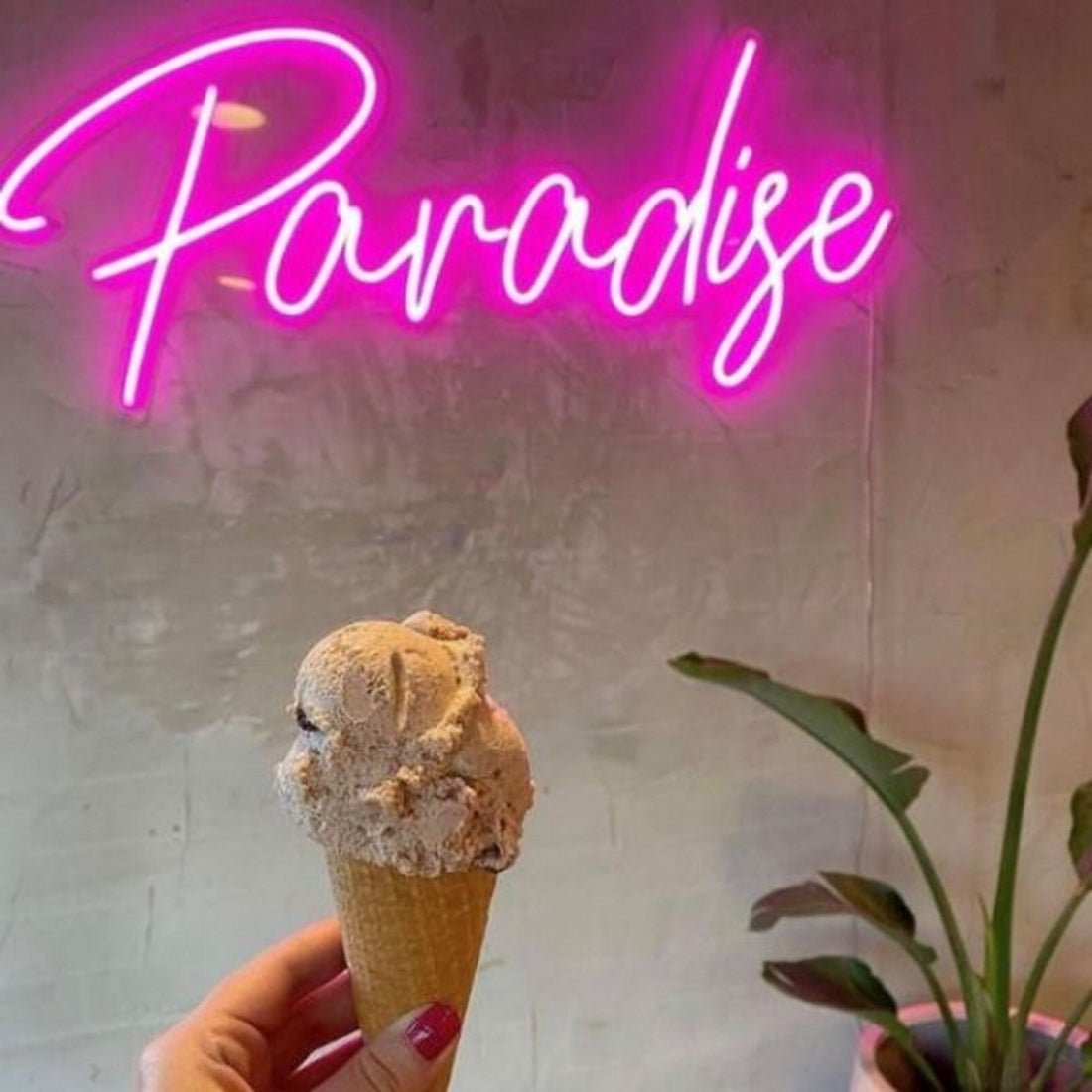 Paradise Led Sign Business Neon Signs Wall Art - Shineneon