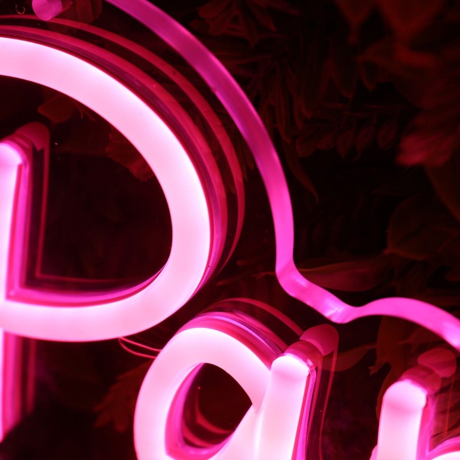 Paris Nails Turkey Lake Red Led Neon Sign - Shineneon