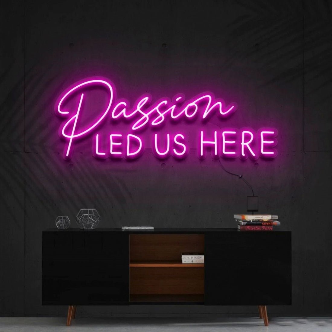 Passion Led Us Here Led Sign Business Neon Sign - Shineneon
