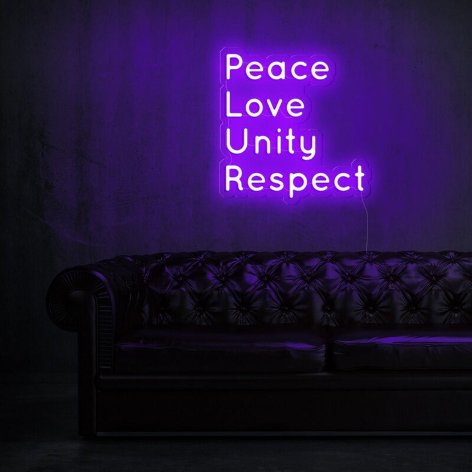 Peace Love Unity Respect Plur Led Neon Sign | Shineneon