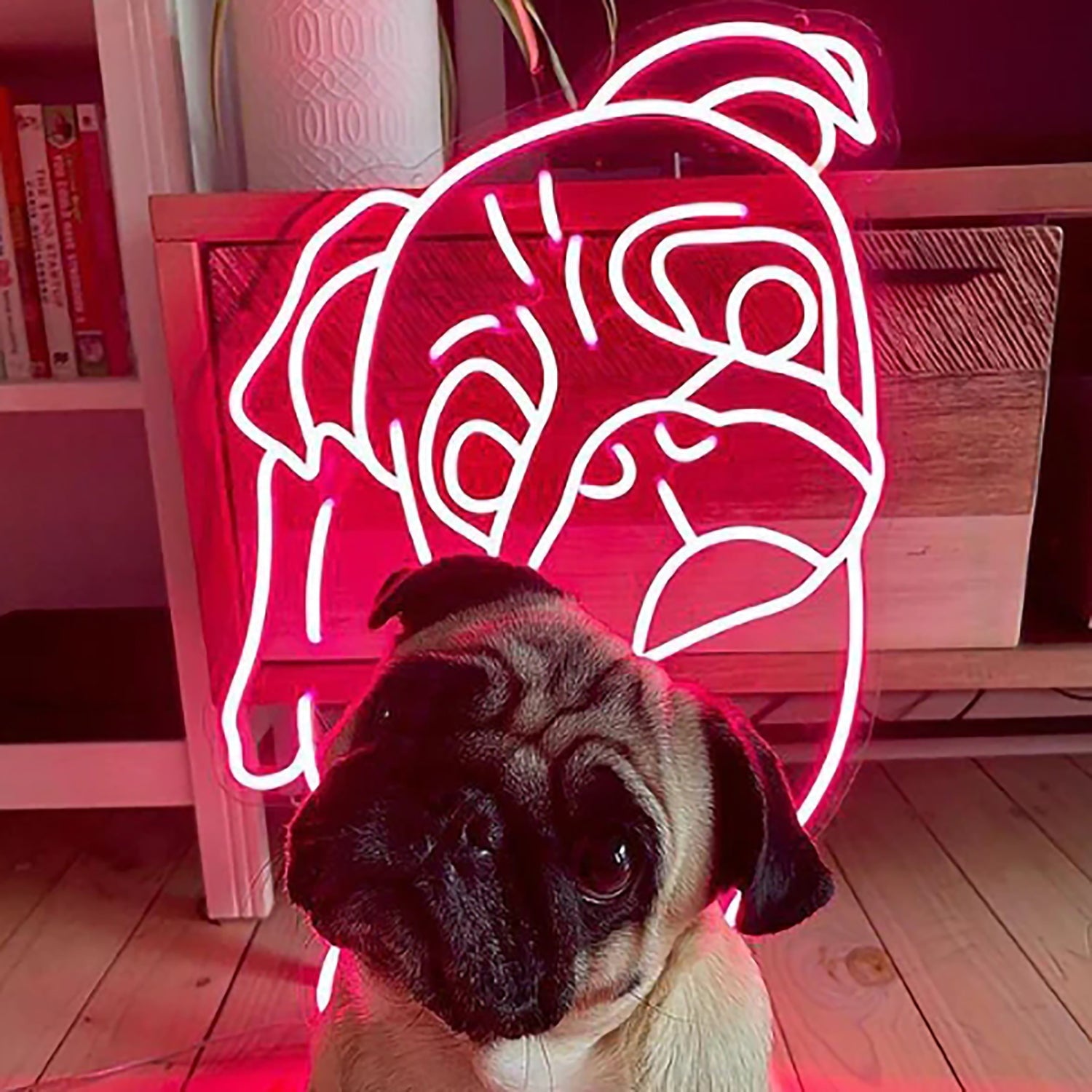 Pet Led Neon Sign With Your Pets Photo For Pets House | Shineneon