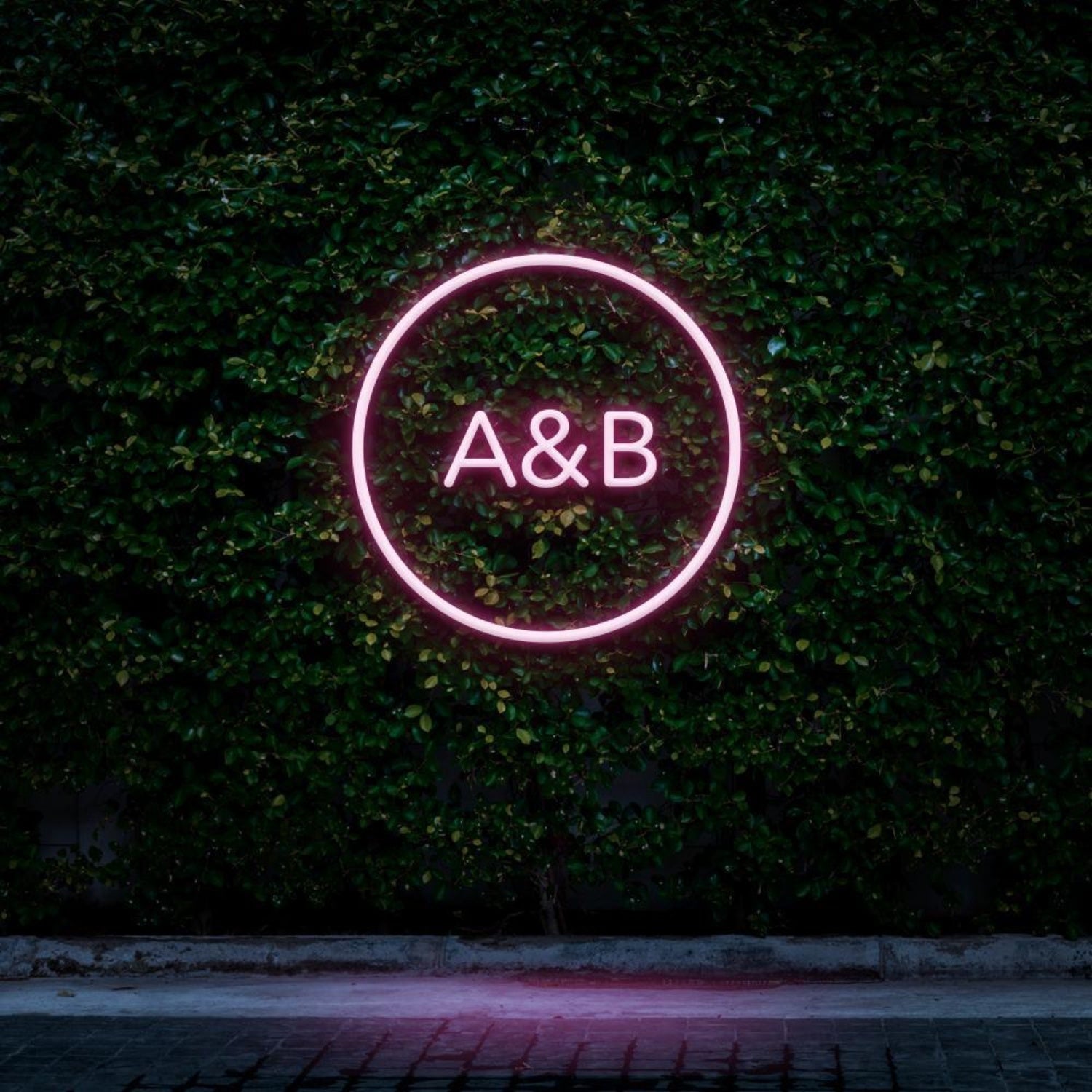 Pink Circle A&b Led Neon Sign For Cafe Decor | Shineneon