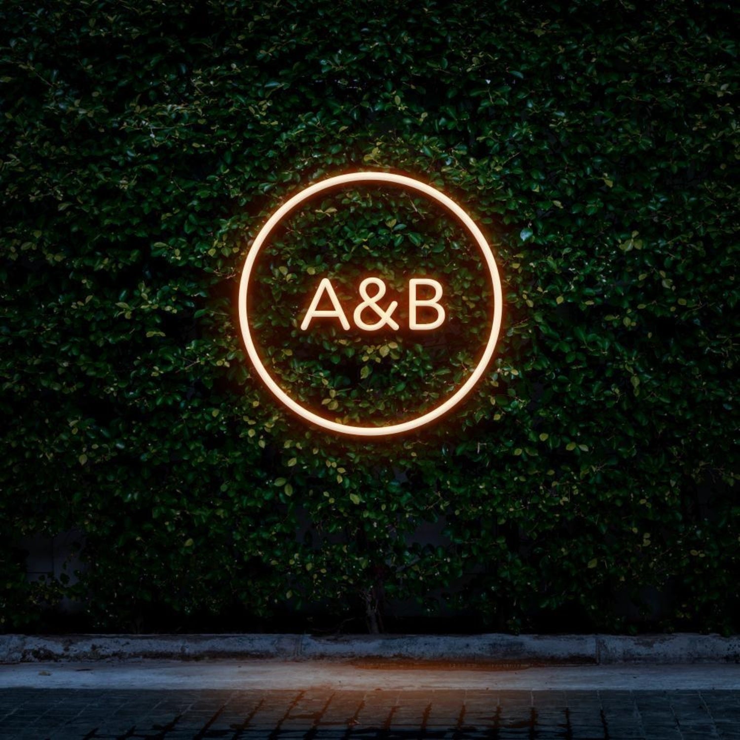 Pink Circle A&b Led Neon Sign For Cafe Decor | Shineneon