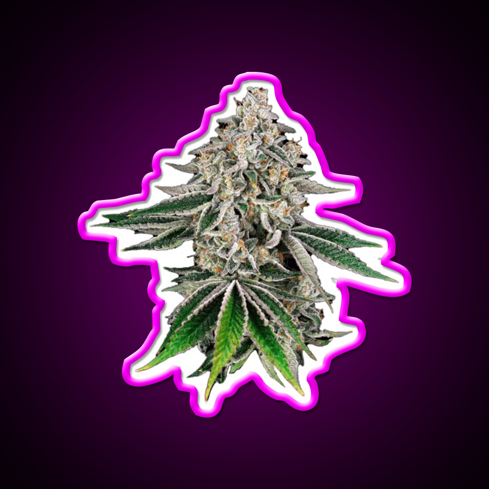 Plant Hemp Inspired Green Leaf Led Neon Sign Rgb Color - Shineneon