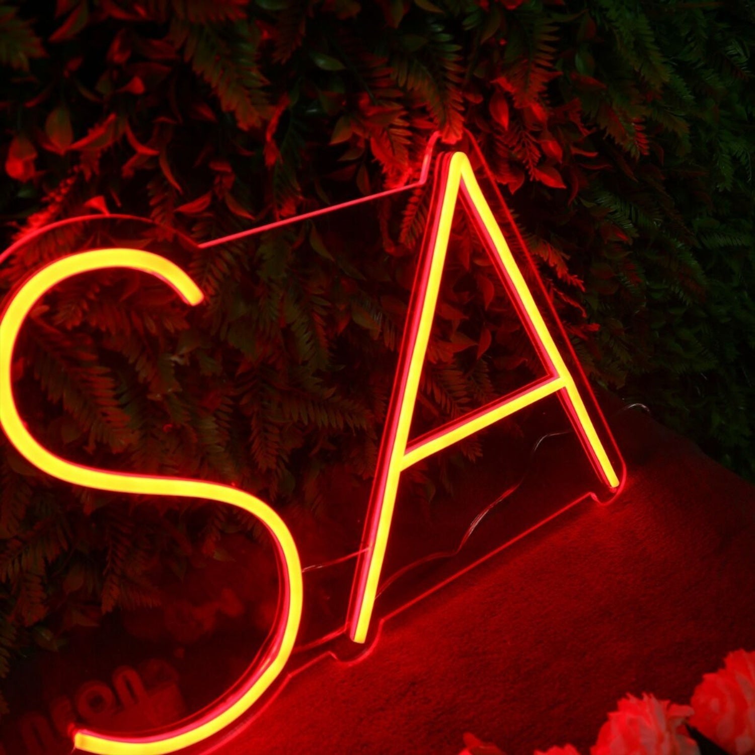 Plcsa Red Led Neon Sign - Shineneon