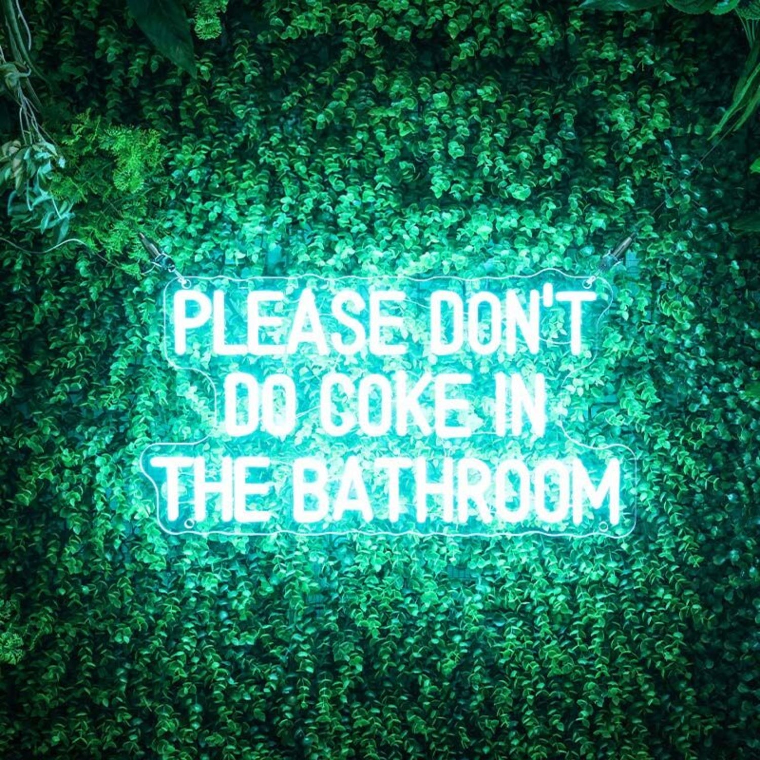 Please Dont Do Coke In The Bathroom Led Neon Sign For Home | Shineneon