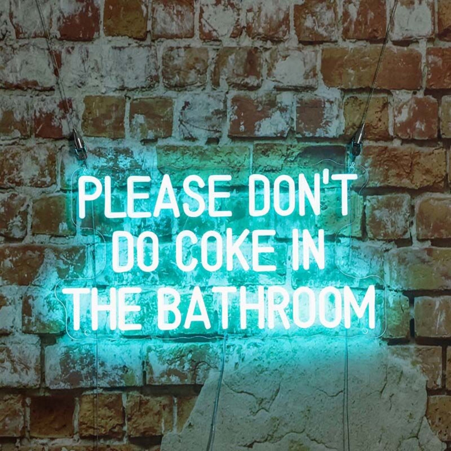 Please Dont Do Coke In The Bathroom Led Neon Sign For Home | Shineneon