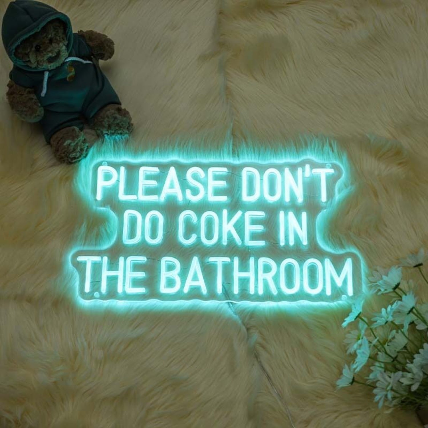 Please Dont Do Coke In The Bathroom Led Neon Sign For Home | Shineneon