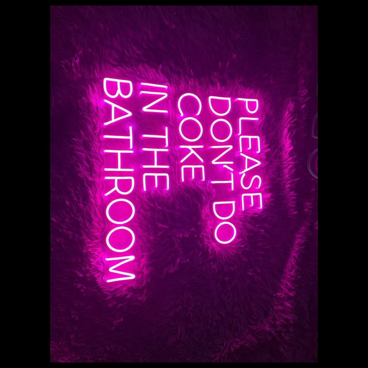 Please Dont Do Coke In The Bathroom Neon Led Sign | Shineneon