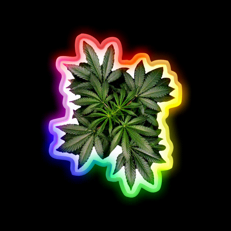 Pot Plant Hemp Inspired Green Leaf Led Neon Sign Rgb Color - LED neon sign close-up detail