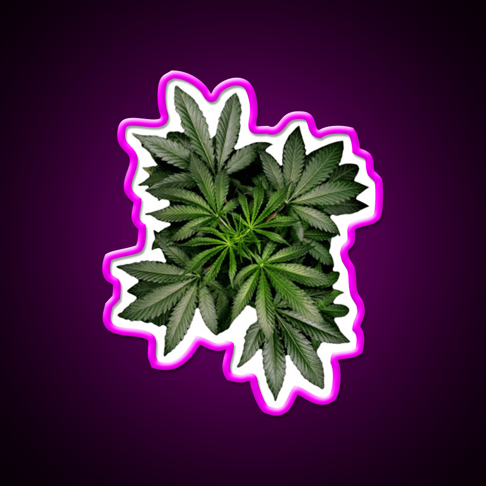 Pot Plant Hemp Inspired Green Leaf Led Neon Sign Rgb Color - Shineneon