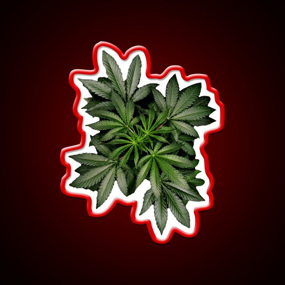 Pot Plant Hemp Inspired Green Leaf Led Neon Sign Rgb Color - Shineneon