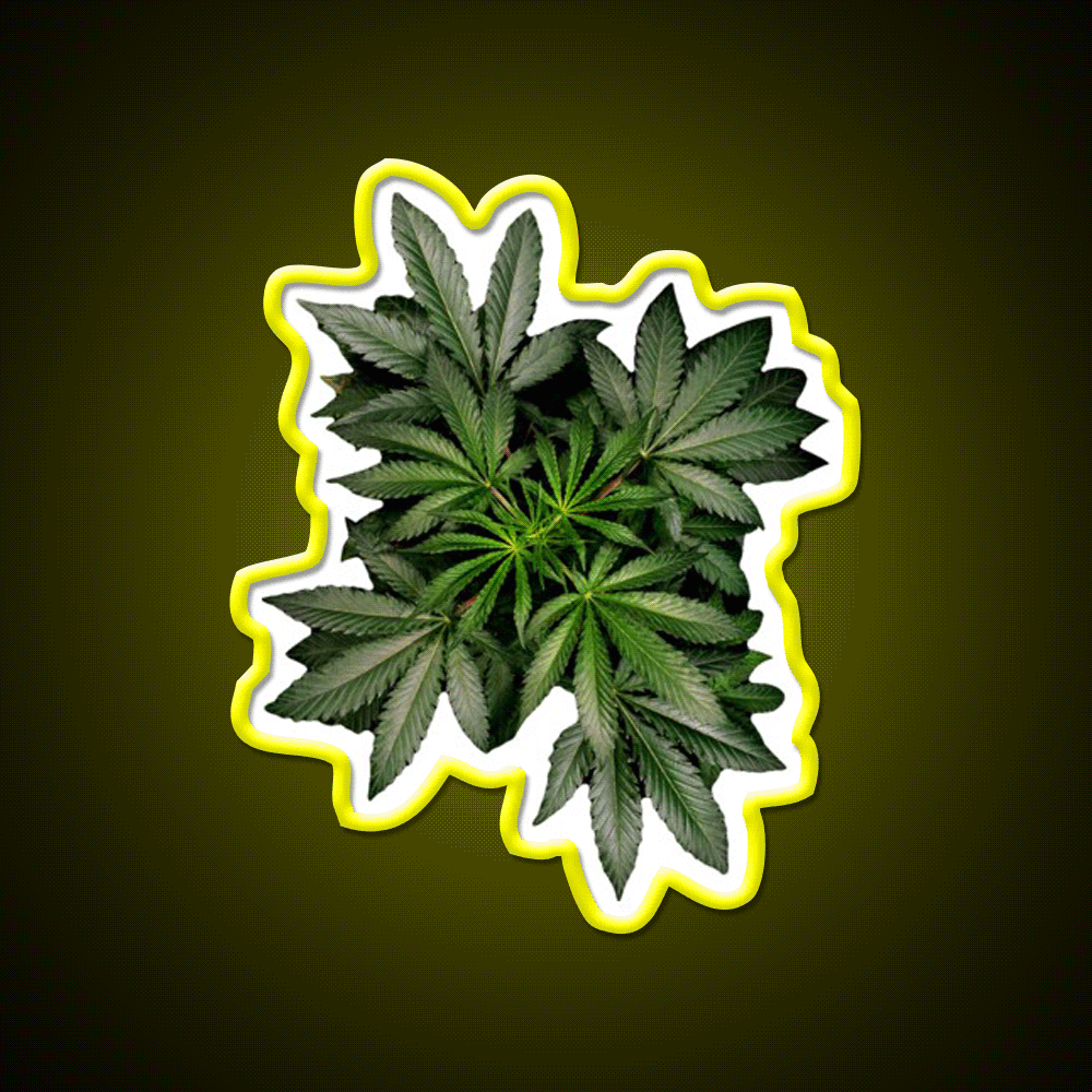 Pot Plant Hemp Inspired Green Leaf Led Neon Sign Rgb Color - Custom LED neon sign front view