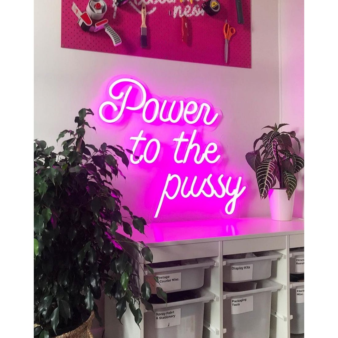 Power To The Pussy Led Sign Business Neon Sign - Shineneon