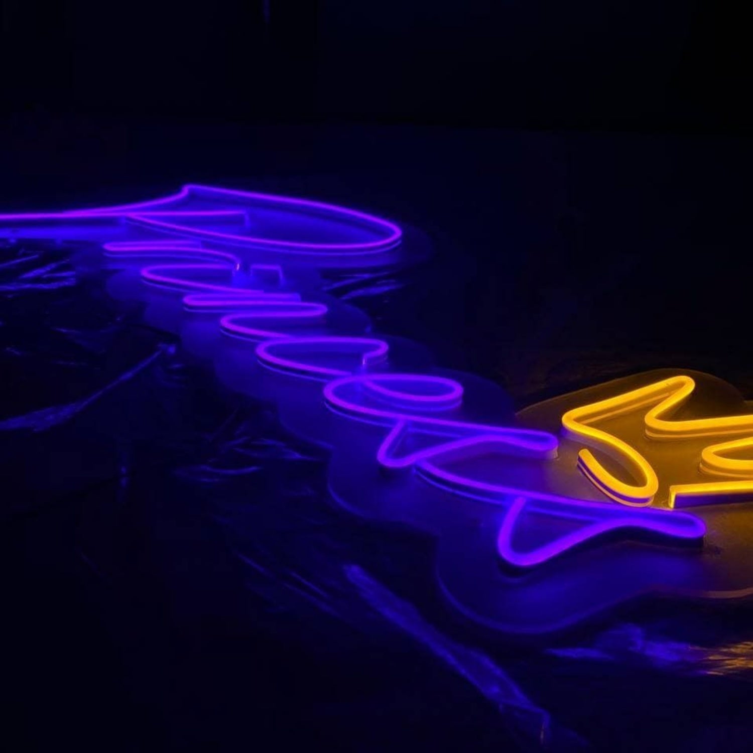 Princess Neon Sign | Shineneon