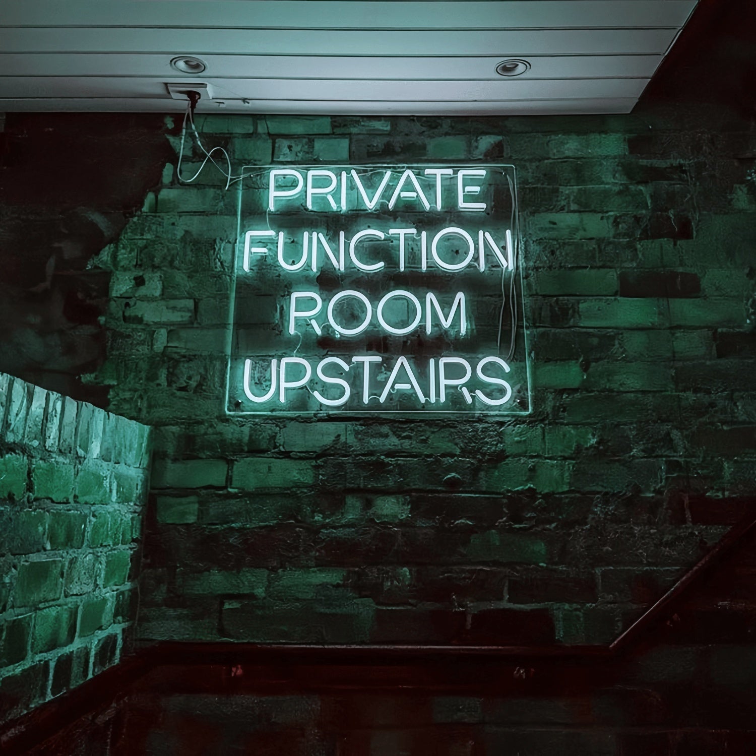 Private Function Room Upstairs Elevate Your Events Led Neon Sign | Shineneon