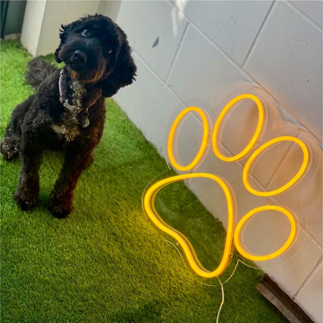Puppy Paw Print Led Sign Business Neon Sign - Shineneon