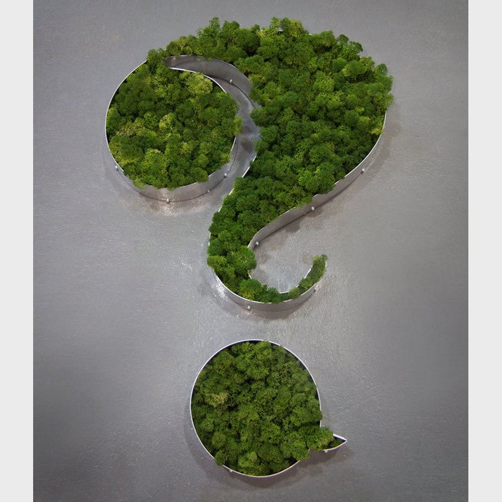 Question 3D Moss Letter Sign - Shineneon