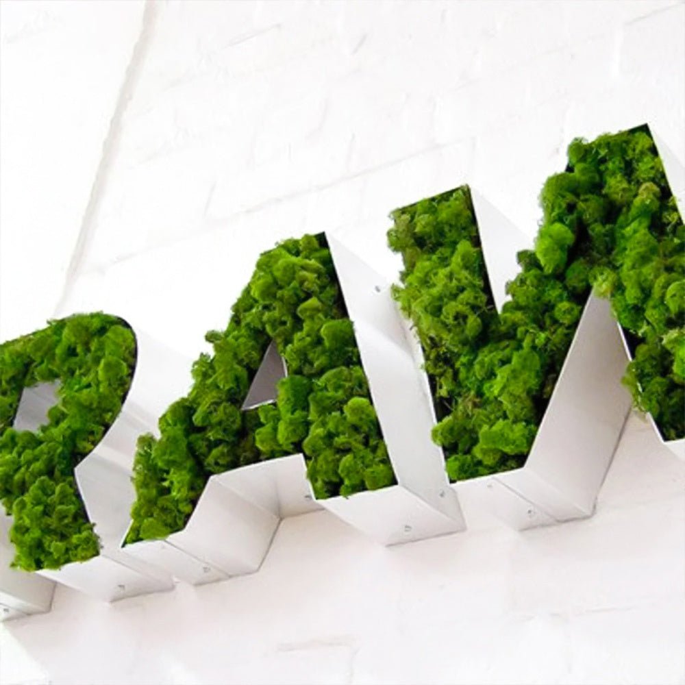 Raw 3D Moss Letter Sign - Shineneon