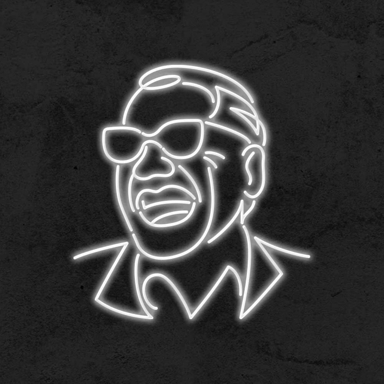 Ray Charles Led Neon Sign | Shineneon