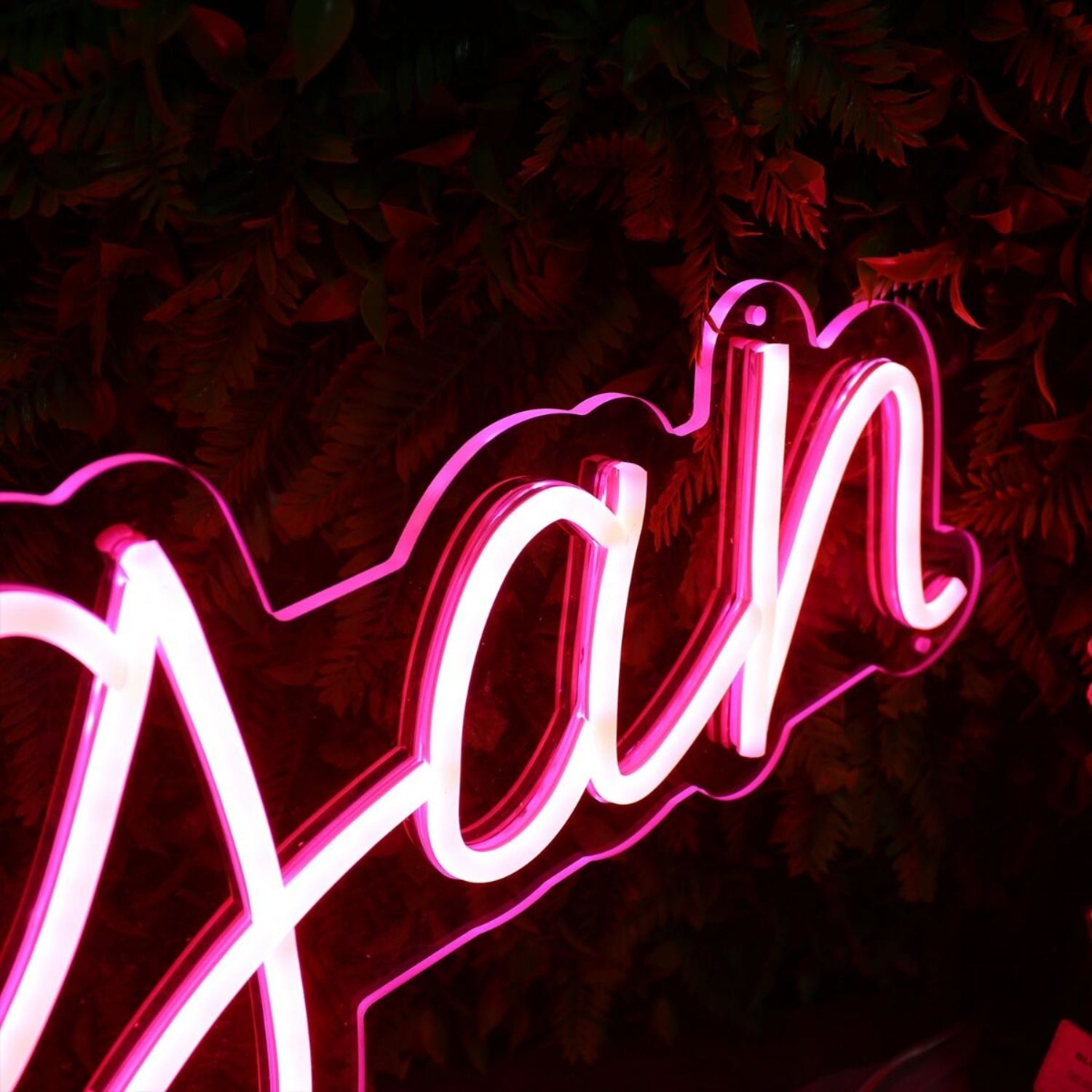 Reagan Red Led Neon Sign | Shineneon