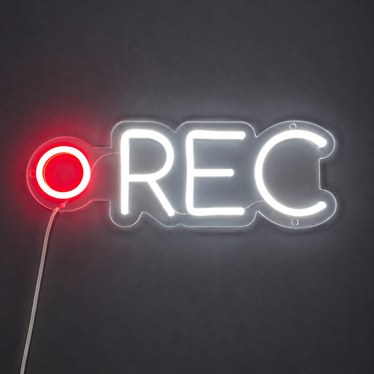 Recording Light Neon Sign LED Neon Sign high-converting product image