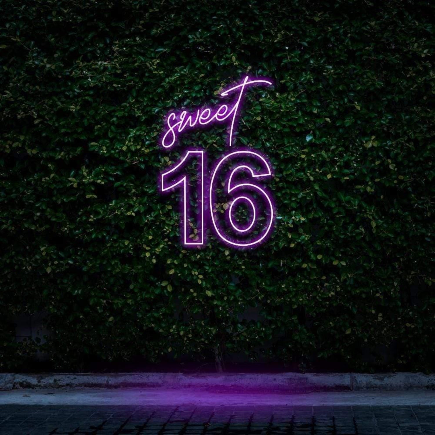 Red Script Sweet 16 Led Neon Sign For Birthday Party Decor | Shineneon