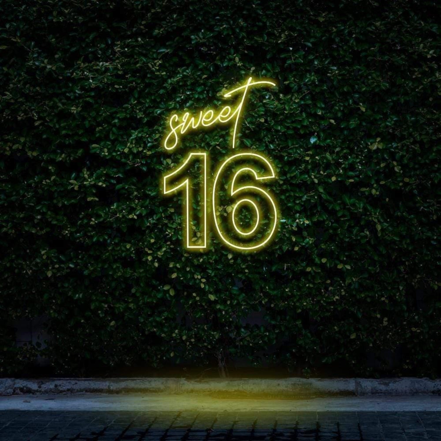 Red Script Sweet 16 Led Neon Sign For Birthday Party Decor | Shineneon