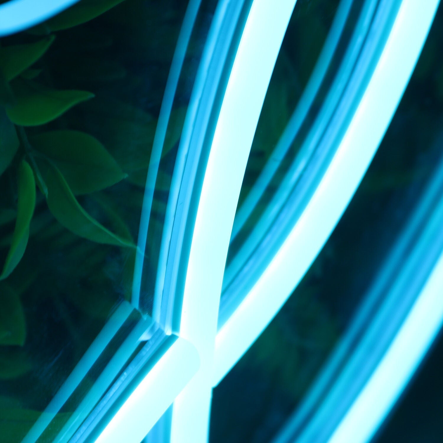 Reese Blue Led Neon Sign - Shineneon