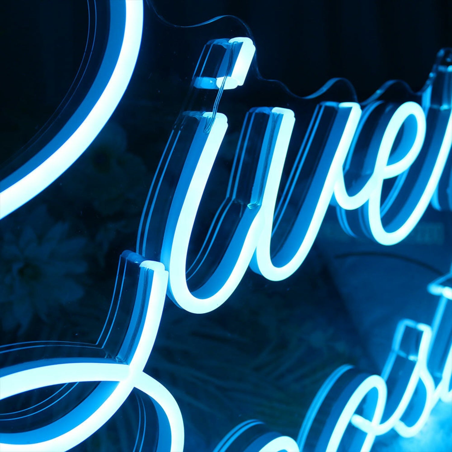 Riuen Roost Led Neon Sign | Shineneon